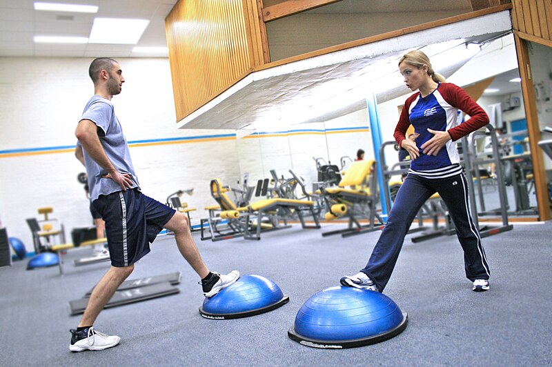 Two_people_in_a_gym_using_BOSU_balls