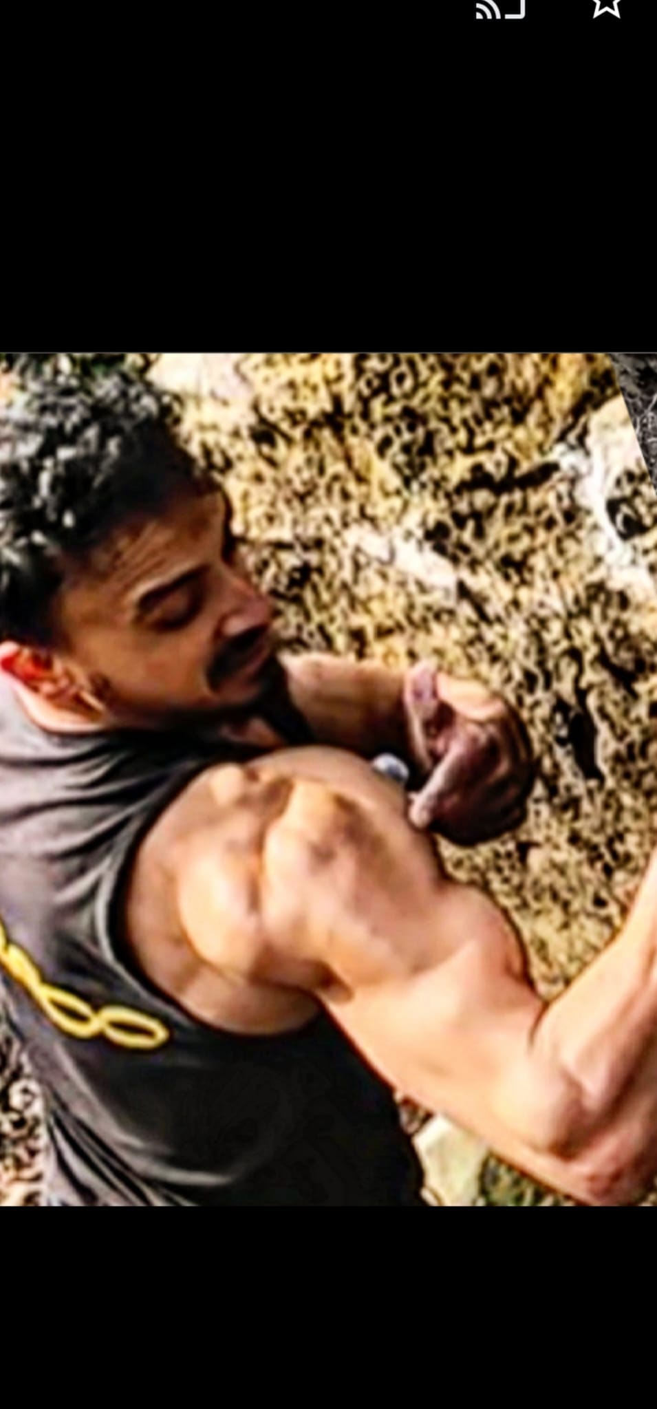 WhatsApp Image 2025-12-16 at 3.36.01 PM (1)